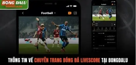 Follow the football beat with Bongdalu Livescore.