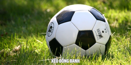Kinh Nghiệm Soi Kèo Vào Tiền Chơi Kèo Đồng Banh Cho Tân Thủ