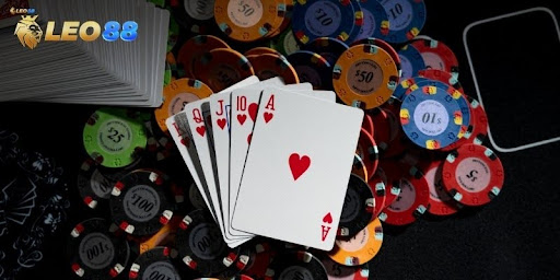 Leo88 – Where Betting Meets Security and High Rewards