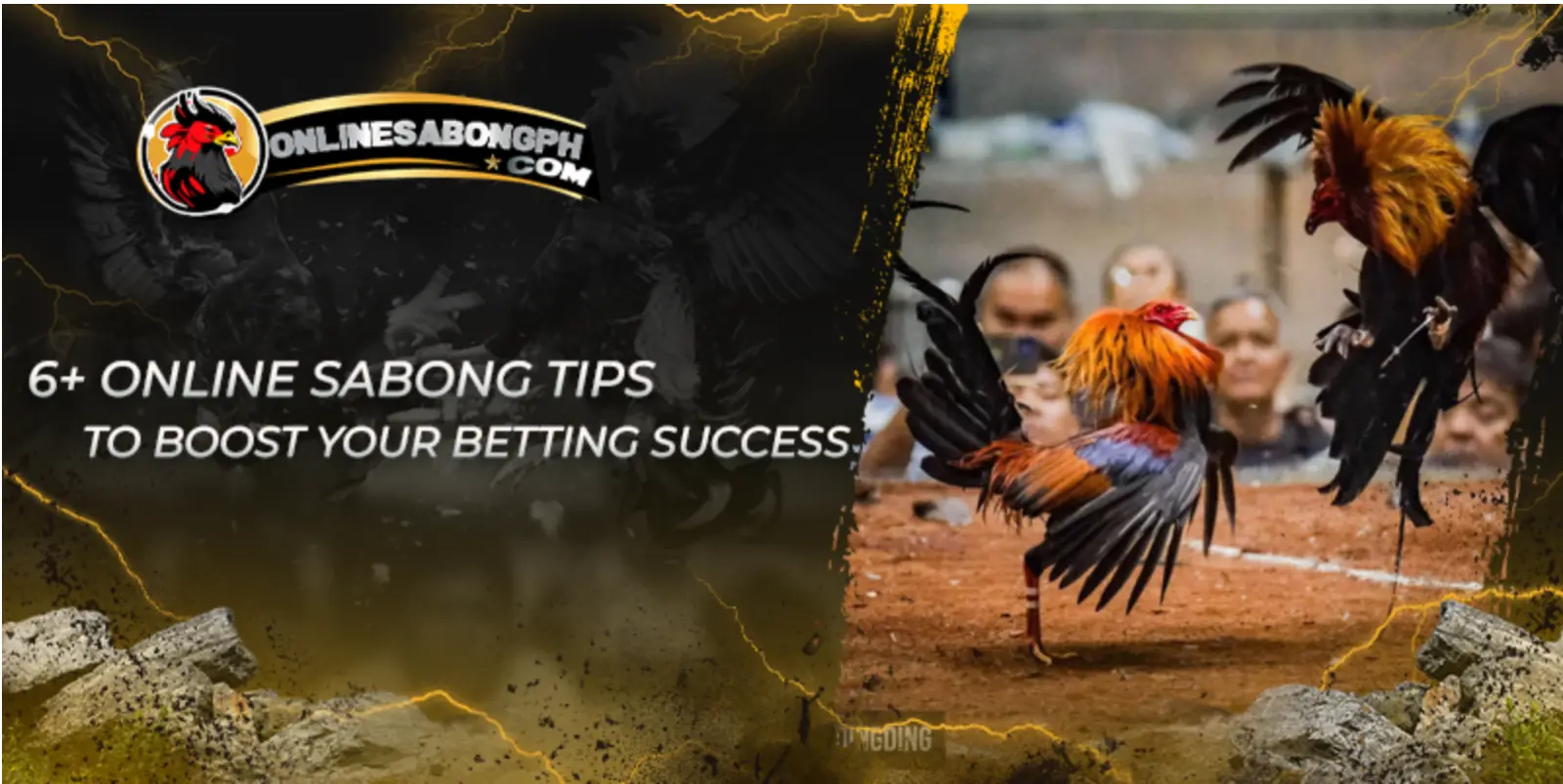 6+ Online Sabong Tips to Boost Your Betting Success