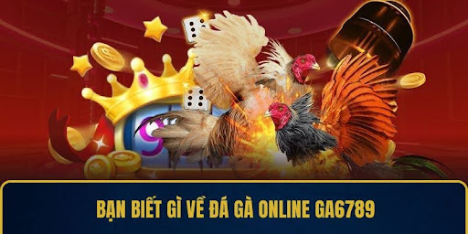 Online Cockfighting GA6789 – Passionate Every Strike