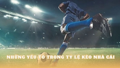 Why Having an Idea of Keo Nha Cai is Important to a Novice Football Bettor
