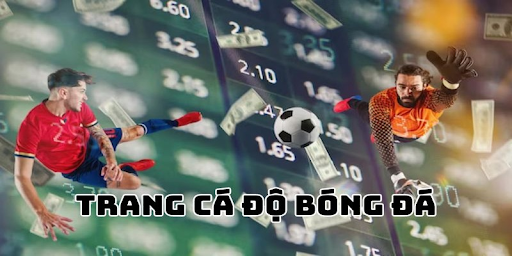 Trang ca do bong da 7777 Org offers 50% weekly reload bonus