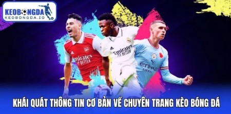 Online Football Odds – The Art of Football Analysis in the Digital Age